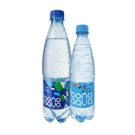 {{photo.Alt || photo.Description || 'Бонаква'}}