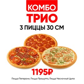 {{photo.Alt || photo.Description || 'Комбо Трио'}}